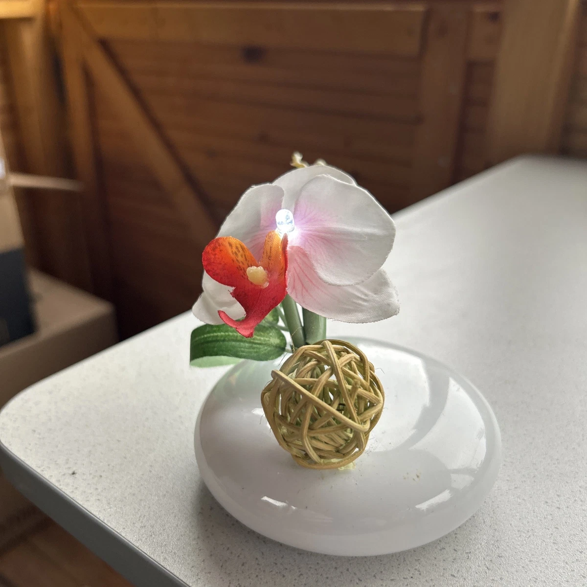 Knstliche Orchideen mit LEDs online kaufen | eBay.de