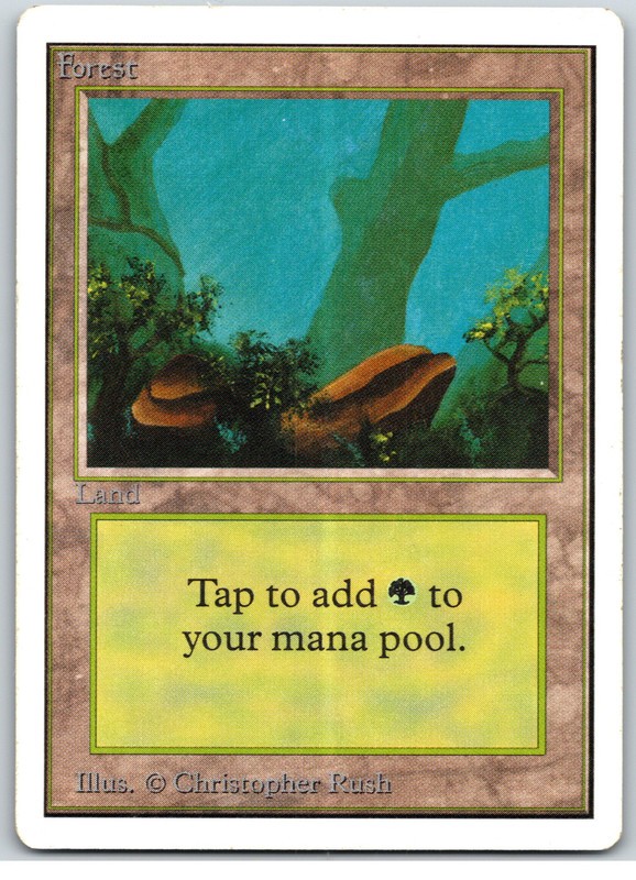 Forest (A) HEAVILY PLAYED 1993 Unlimited Magic The Gathering MTG Basic Land