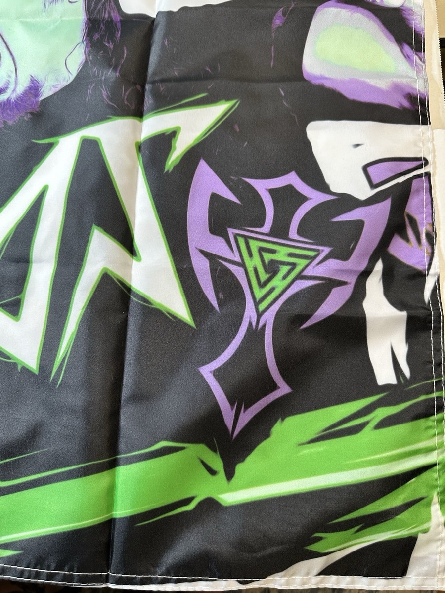 Hardy Boyz Flag 24”x36” Pro Wrestling Crate Exclusive AEW Matt
