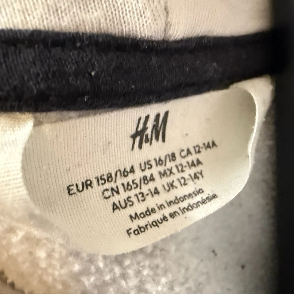 H&M Pullover Sudadera con Capucha Juvenil Extra Grande 16-18 Color Block Blanco Gris  Foto 2 de 3