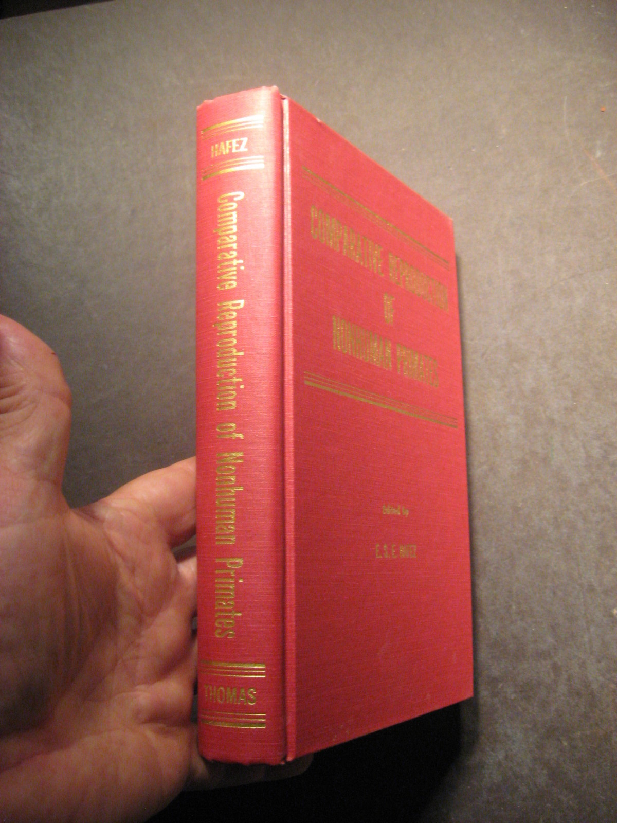 Picture 4 of 12