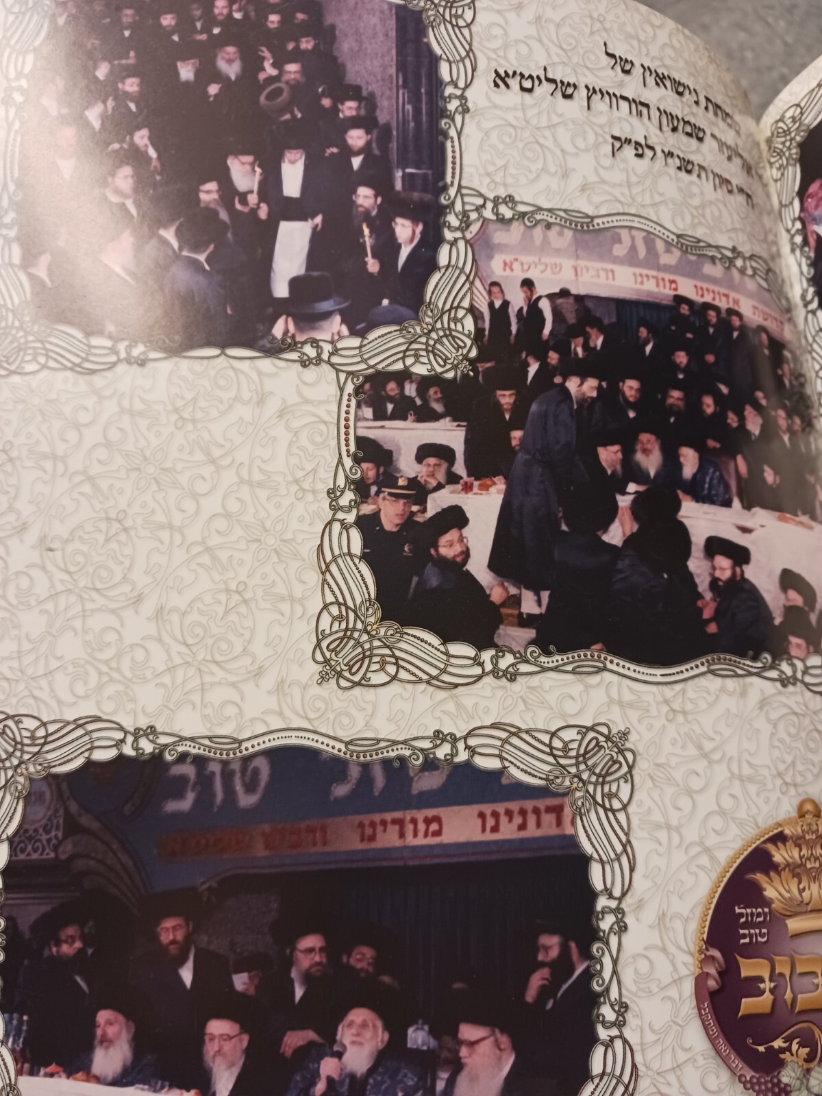 Picture 14 of 21