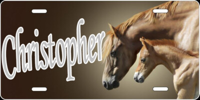 Engraved - Personalized Mare And Colt License Plate - Auto Tag