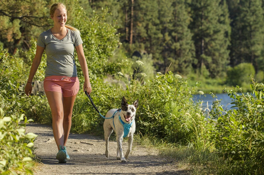 Ebay ruffwear cheap harness