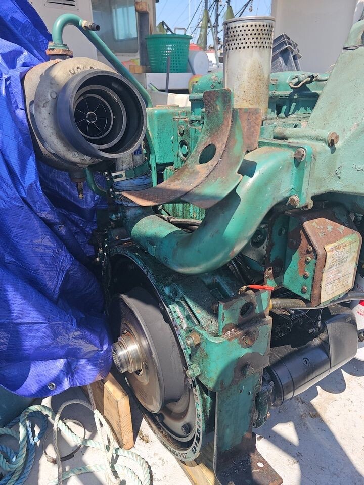 VOLVO　エンゲンマントウヒ　ボスニア 松 プンゲンストウヒ　苗 Volvo Penta AQAD40 B Diesel Crankshaft P/N 3582850