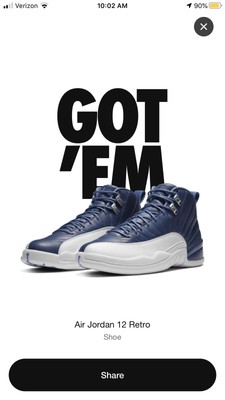 jordan 12 size 12.5