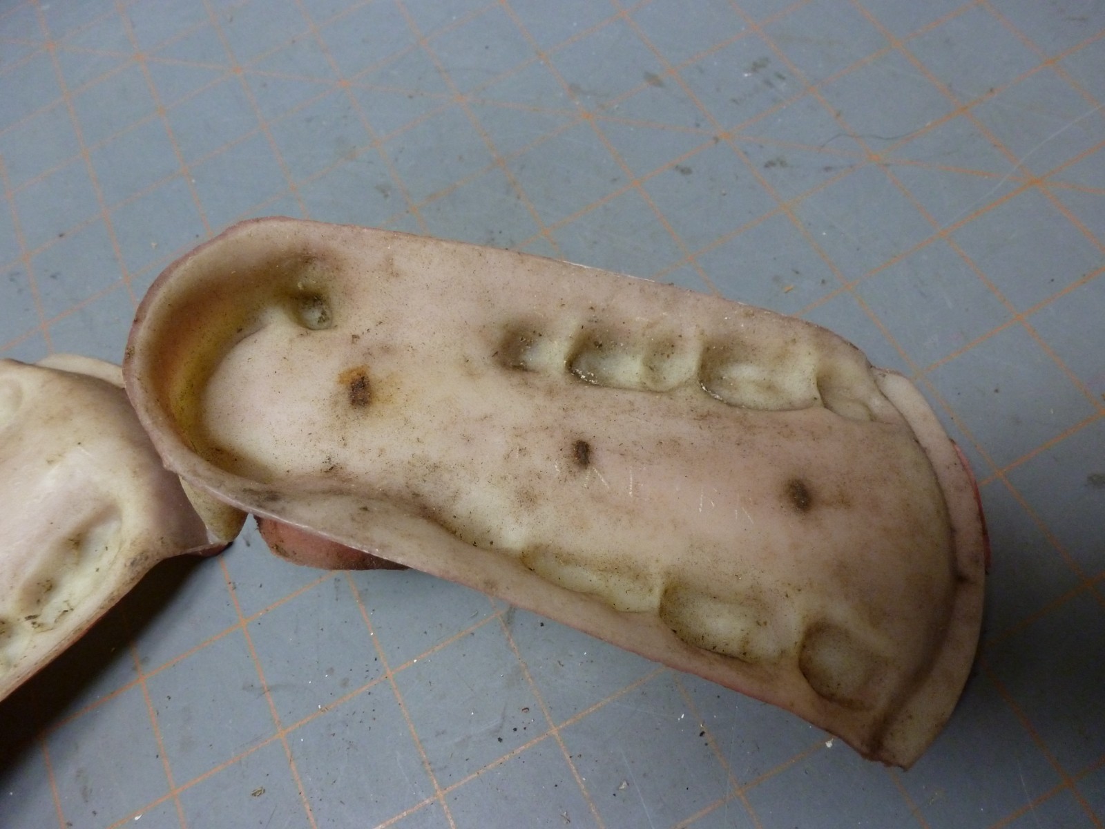 70's Black or Brown Bear Jawset Tongue for Open Mouth Head TAXIDERMY FORM M-BR-3