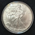 2004 $1 SILVER EAGLE = 1 OZ. .999 SILVER = U. S. MINT = UNCIRCULATED