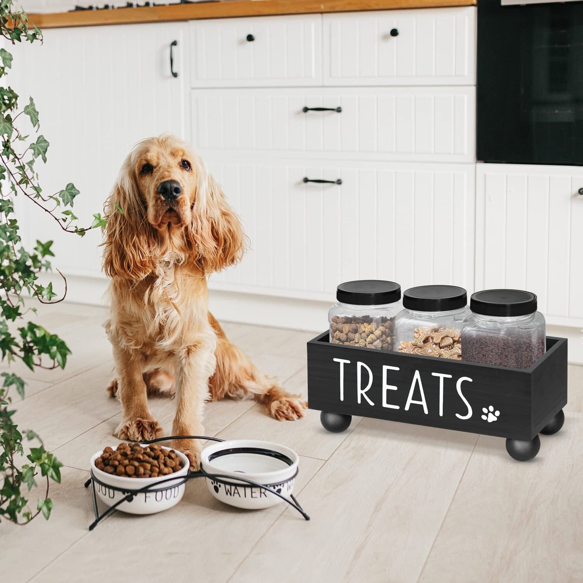 Wooden Dog Dog Biscuit Storage Containers Personalised Wooden Dog