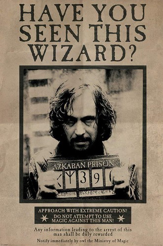 Harry Potter Hogwarts Wanted POSTERS A4 A3 ROOM DECO BUY 1 GET 2 FREE ...