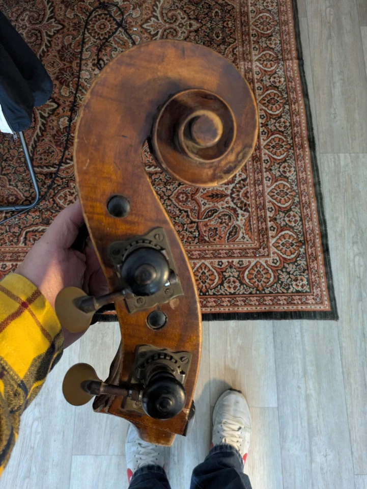 Geigen/ Bratschen / Cello/ Bassschnecke! - Bild 4 von 4