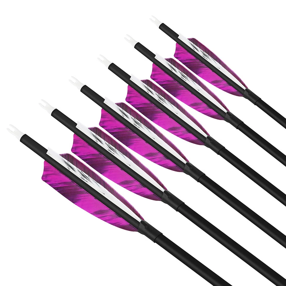 28" 30" 31" Carbon Arrows SP500 Natural Feathers Recurve Compound Bow Hunting - Image 4 of 4