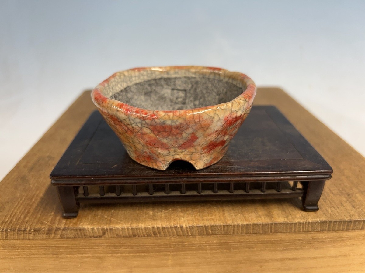 Shohin Size Bonsai Tree Pot Made By Bunzan 3 1/2 Red And Orange Glaze |  eBay