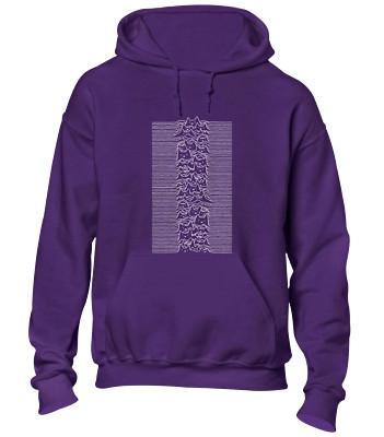 SOUNDWAVE KITTY HOODY HOODIE LUSTIG KATZENLIEBHABER TIER NIEDLICH MUSIK DESIGN GESCHENK