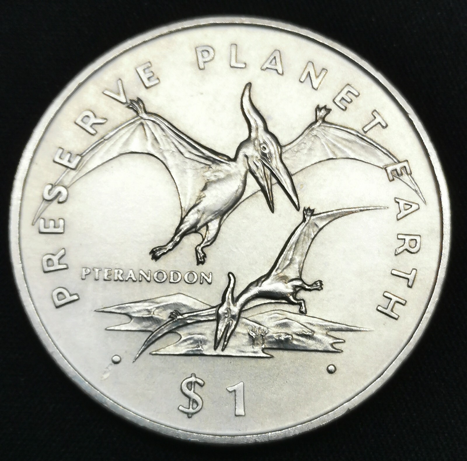 Picture 4 of 8