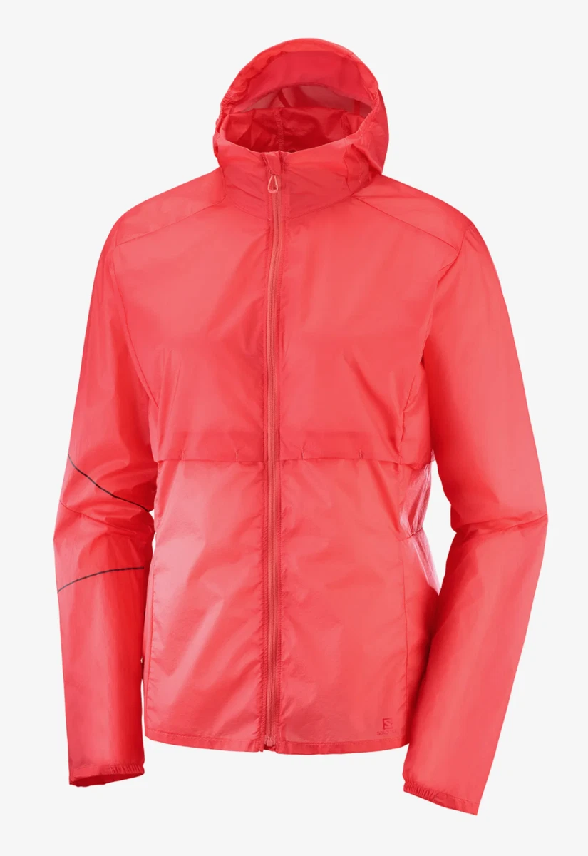 Salomon hoodie women's cheap