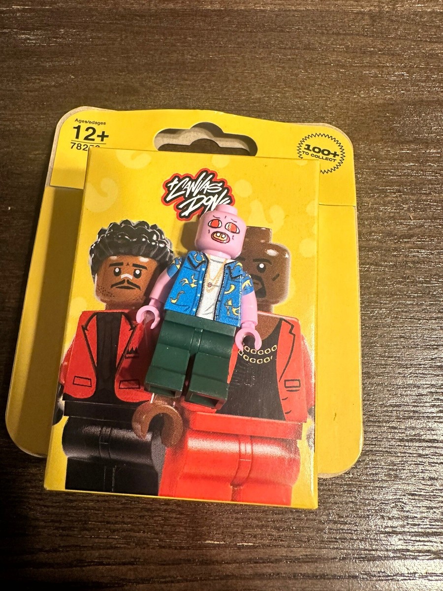 The Canvas Don Mystery Pack Lego Figure Tyler The Creator Cherry