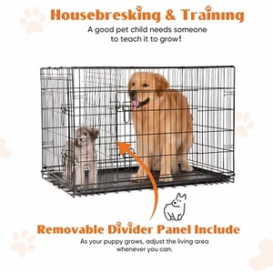 Crate de chien avec portes doubles - Cage pliable métallique amélioré pour animaux de compagnie avec panneau de diviseur