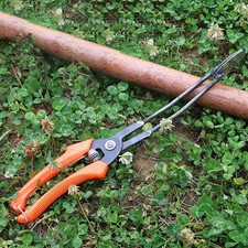 Planter for Sweet Potato Gardening Tool for Young Vegetable Plants