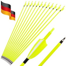 Bogenschießen Carbonpfeile 30" Jagdpfeile Naturfedern SP500 Bogen Jagd 12X DE