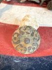Dug Civil War 💥 🇺🇸 💣 Confederate Gilt Flower Button PH LA