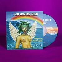 Stevens - Beginner's Mind - Cd - G3Z