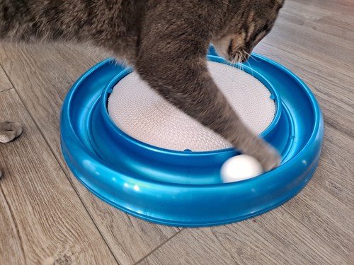 Cat Scratcher Replacement Pads, Stylish White 3 pk, Fit Turbo & Star Chaser Toys - Picture 4 of 5