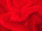 Bild 11 von 16