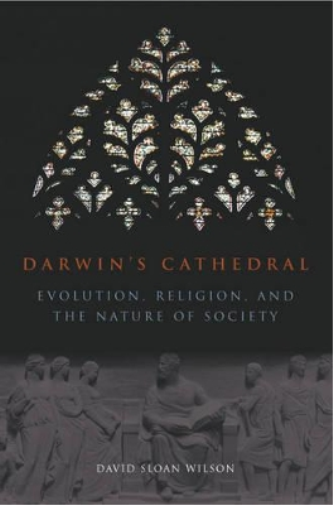 David Wilson Darwin`s Cathedral – Evolution, Religion, and the Natur (Tascabile)