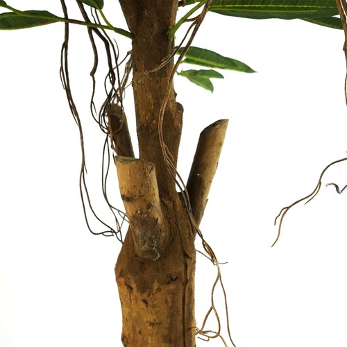 Árbol artificial realista Longifolia Ficus tronco natural - Imagen 4 de 5