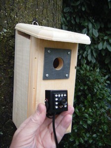 Bird Hebackyard Backyard Birdhouse With Hd Cam 610708228233 Ebay