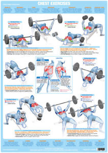 Weight And Exercise Chart