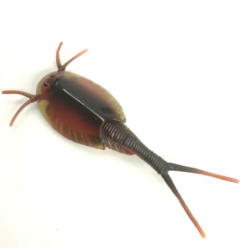 Mini figura de huevo de chocolate pez renacuajo camarón Triopsidae Kaiyodo Furuta Japón - Imagen 1 de 4