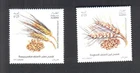Algeria 2025 - Cereals  " Wheat "  -  2v ,  MNH Set **