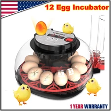 12 Egg Incubator,for Chicken Eggs with Humidity Display Fully Automatic chicken