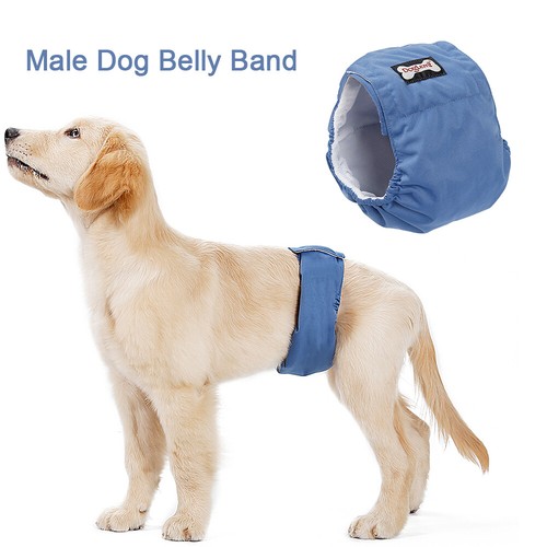 male dog bands