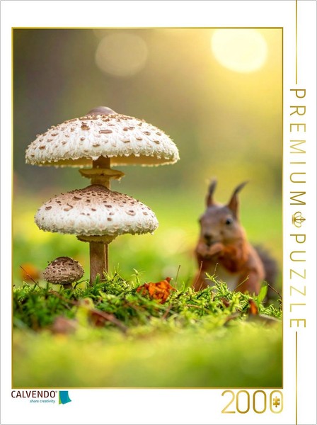 Calvendo Puzzle Squirrels And Parasol Mushrooms In The Meadow | 2000 Pieces, Fin-image