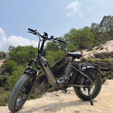 FAFREES FF20 POLAR Folding Electric Bike 20" Fat Tyre 48V 20.4AH Pedal Assist