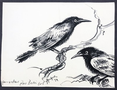 Erich Angres shiny star star bird birds Zoo Berlin drawing drawing 1939