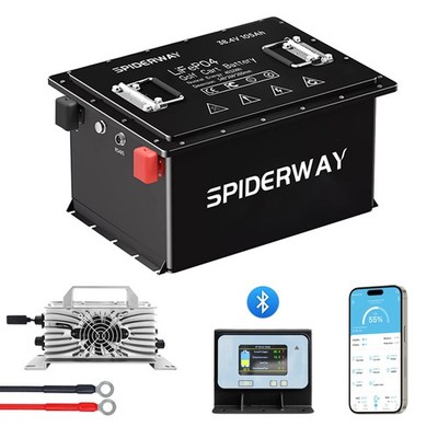 36V 105Ah Lithium LiFePO4 Golf Cart Battery 6000+ Cycles 200A BMS W/ 25A Charger