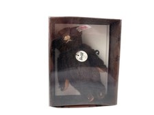 Steiff Animal Teddy Bear Club 2011 Bear with Original Box - Excellent Condition