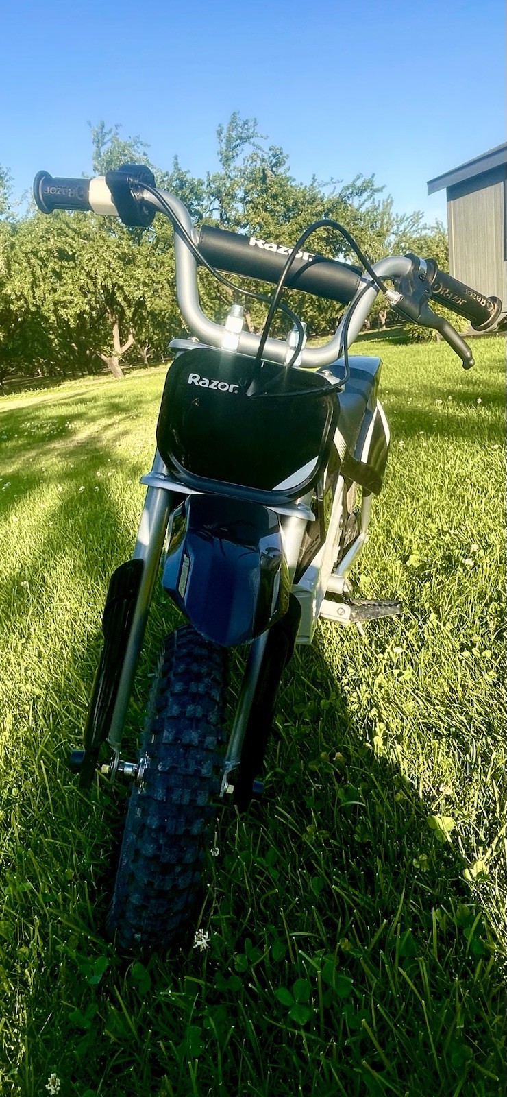 Picture 4 of 17