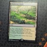 Wizards of the Coast Windswept Heath 248 Khans of Tarkir Rare Land Regular EN