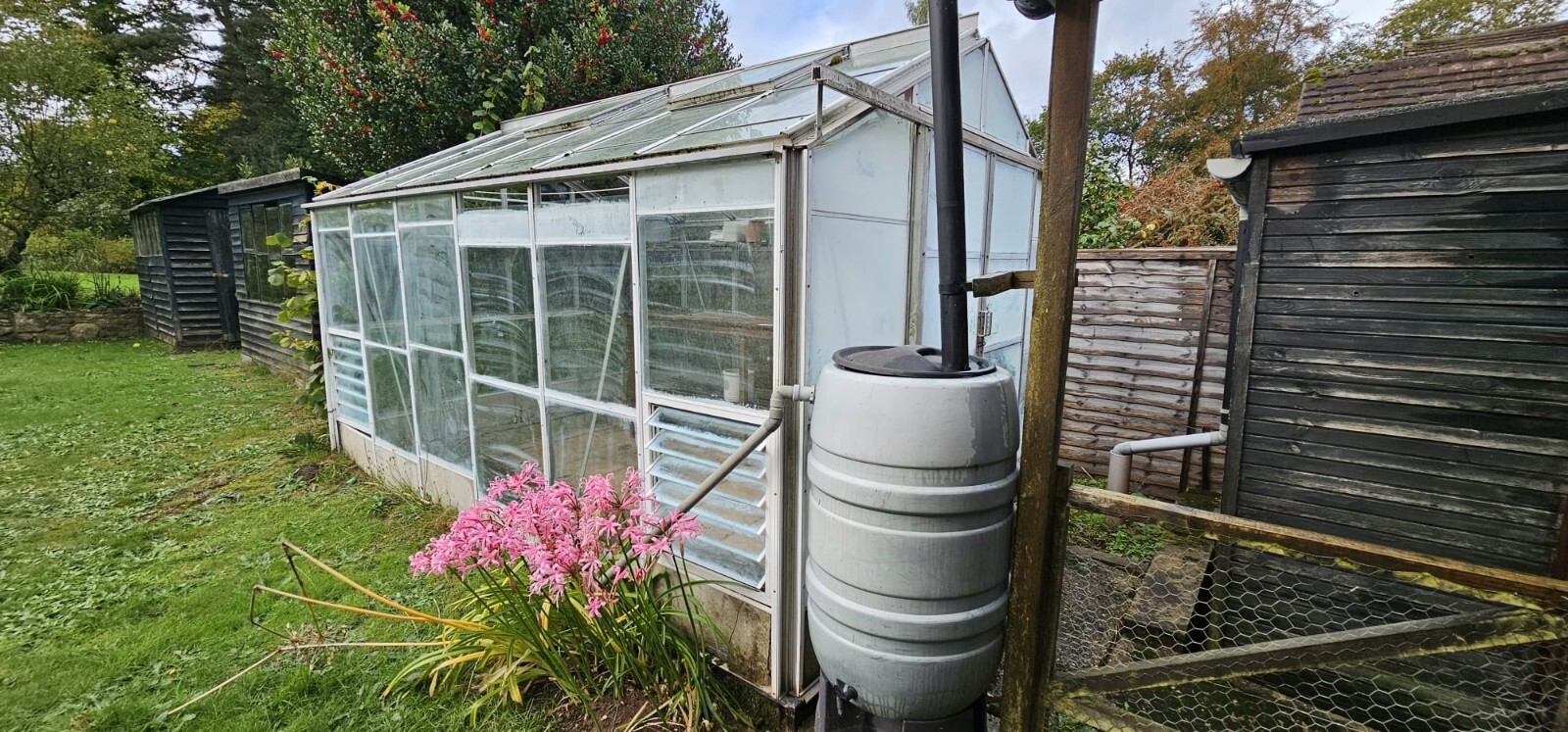 Greenhouse eBay