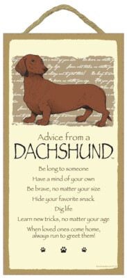 Advice From a Dachshund Be Brave Dig Life Learn new tricks... 10x5 Dog Sign E4