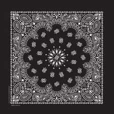 Carolina Creative Bandanna (Black) Farmer Paisley 17" x 17" 100% Cotton