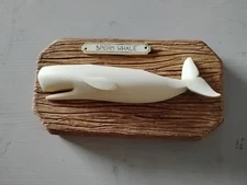 Mounted Sperm Whale