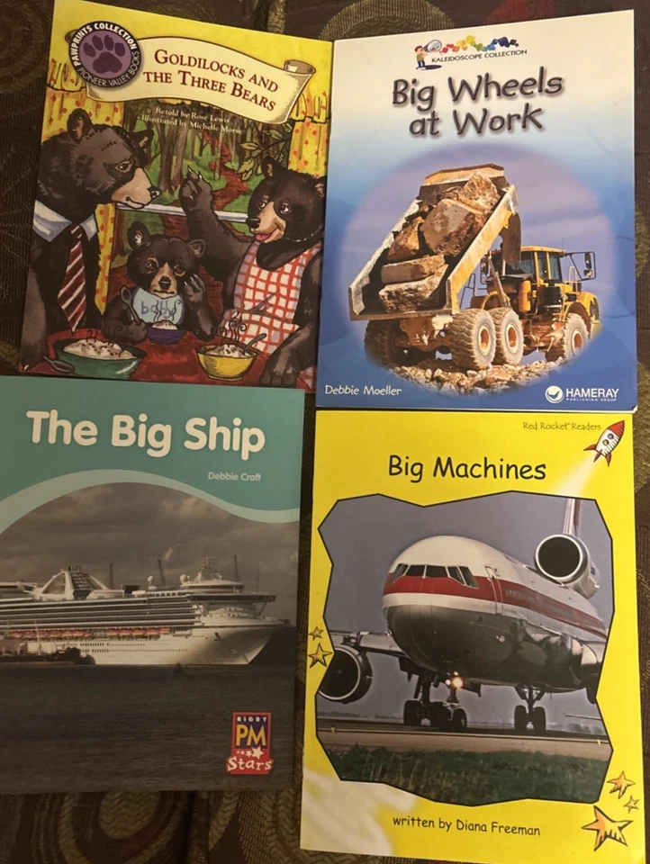 Lot 11 Leveled Readers books pioneer valley rigby PM F & P NEW levels C - H - Image 3 of 4