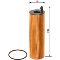 Bosch F 026 407 238 ÖLfilter FüR Mercedes Benz C Klasse CLS E G GLC GLE GLS S