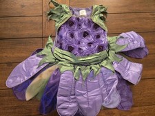 Childs Flower Costume Dress Small